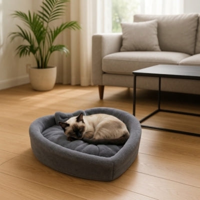 coussin chats gris siamois dort en boule dedans salon