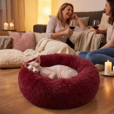  coussin-chats-tout-doux-rouge-chat-sphynx-endormi-deux-amies-aperitif-salon
