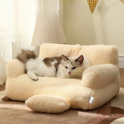 coussin pour chat beige clair de lune ragdoll relaxant dessus