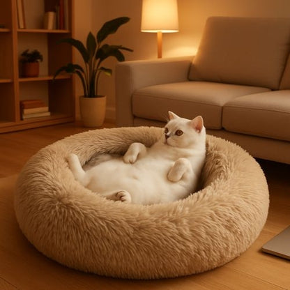 coussin pour chat beige dans salon chat couché sur dos