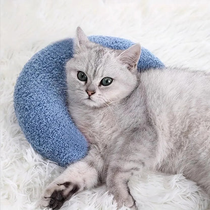 coussin pour chat bleu avec chat blanc couche dessus