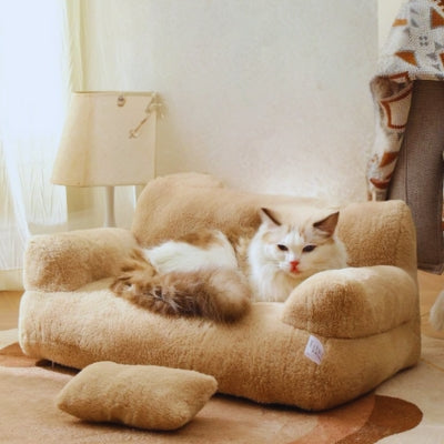 coussin pour chat café crème ragdoll relaxant dessus