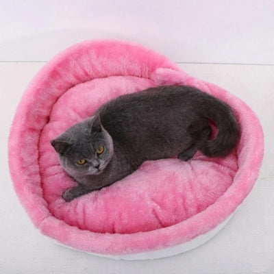 coussin pour chat chaton relaxant paisiblement dedans