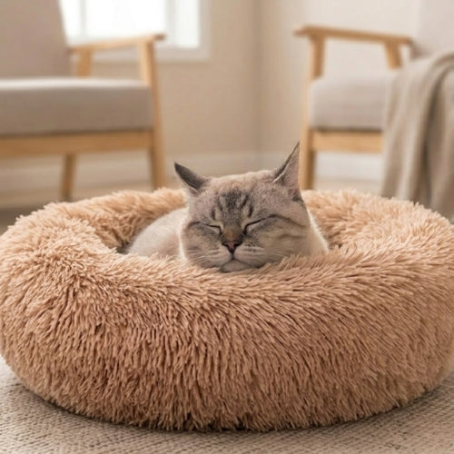 coussin pour chat cosy dodo beige chat dort salon scandinave