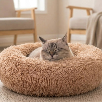 coussin pour chat cosy dodo beige chat dort salon scandinave