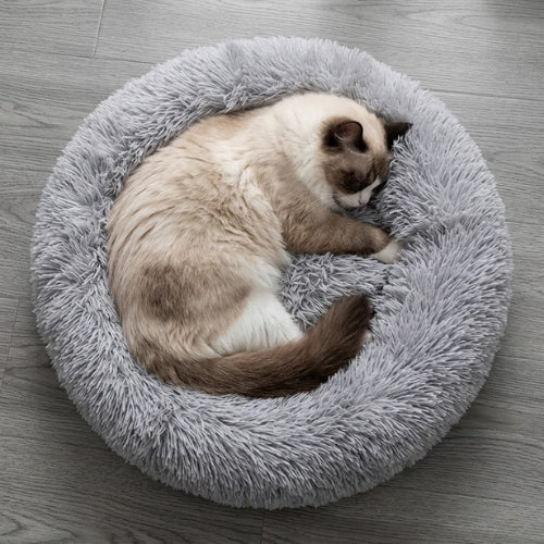 coussin pour chat dodo du pacha gris ragdoll endormi profondement dessus