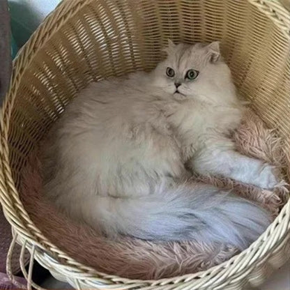 coussin pour chat dodo du pacha marron persan installe panier osier