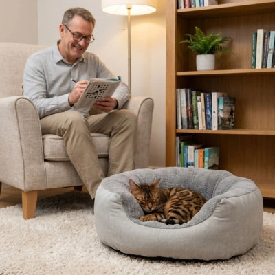 coussin pour chat dodoéden gris bengal endormi monsieur coin lecture