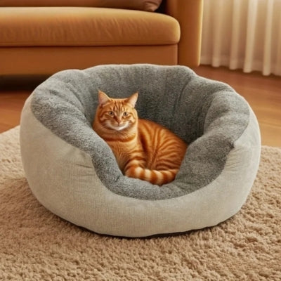 coussin pour chat gris chat en detente dedans