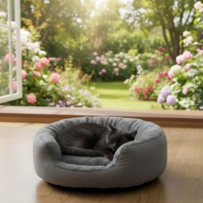 coussin pour chat gris chat endormi profondement dedans