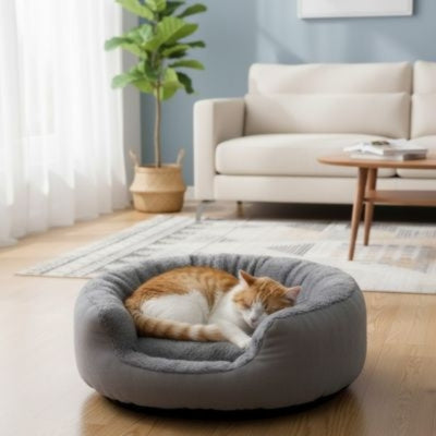 coussin pour chat gris chat enroulé en boule dessus