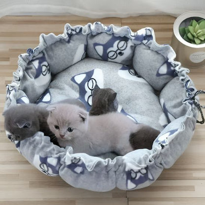 coussin pour chat gris raccoon chatons dedans 