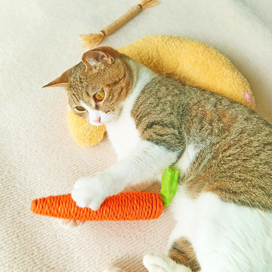 coussin-pour-chat-jaune-avec-chat-jouant-dessus