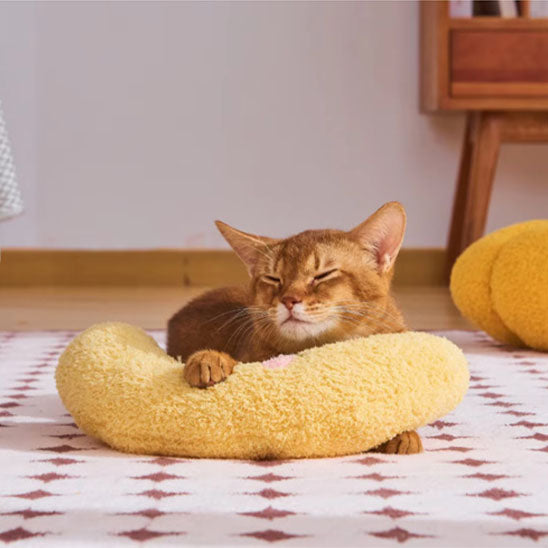 coussin pour chat jaune avec chat roux endormi dessus