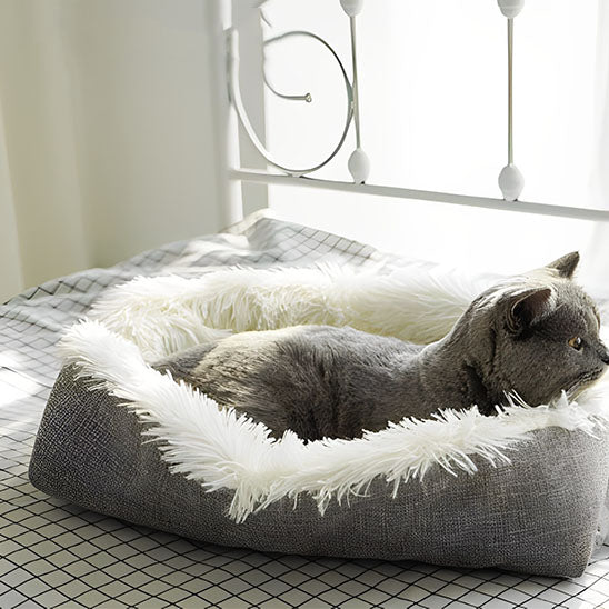 coussin pour chat nidou avec chat gris relaxant dedans