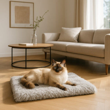 coussin pour chat nidou gris birman tapis salon scandinave