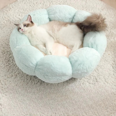 coussin pour chat vert ragdoll lové confortablement dessus