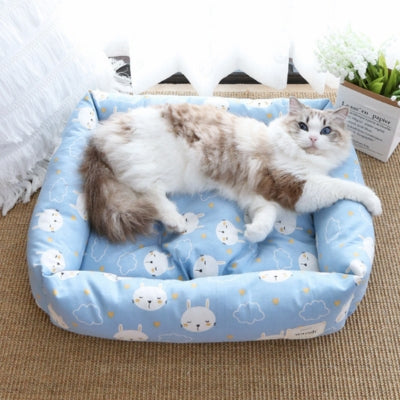 coussin pour chat ragdoll profitant relaxation dessus