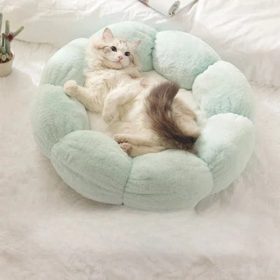 coussin pour chatvert ragdoll detendu sur dos dessus