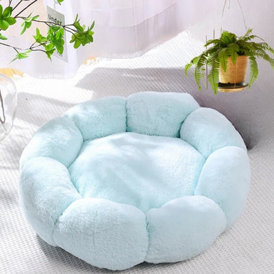 coussin pour chat vert
