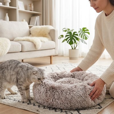 Coussin pour Chat 