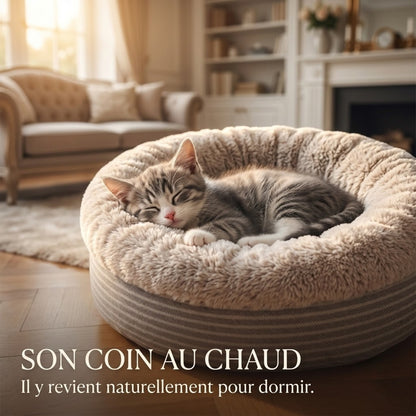 Coussin pour chaton beige, chaton endormi lové, son coin au chaud