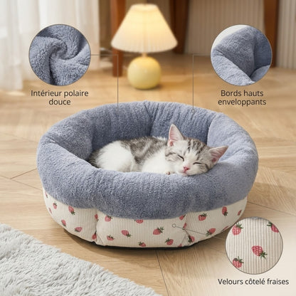 coussin pour chaton blanc fraises chaton endormi zooms polaire bords velours