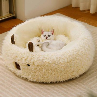 coussin pour chaton chaton assis en boule dedans
