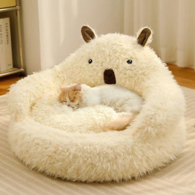 coussin pour chaton chaton endormi profondement