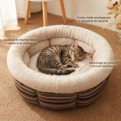Coussin pour chaton, chaton endormi dedans, avec 3 caractéristiques