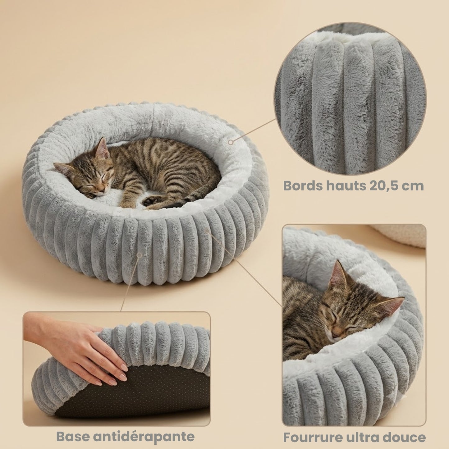 coussin pour chaton européen tigré gris lové avec détails bords antidérapant et fourrure
