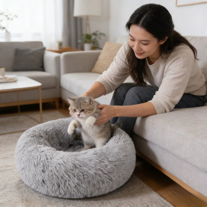 coussin pour chaton gris clair femme installe chaton salon