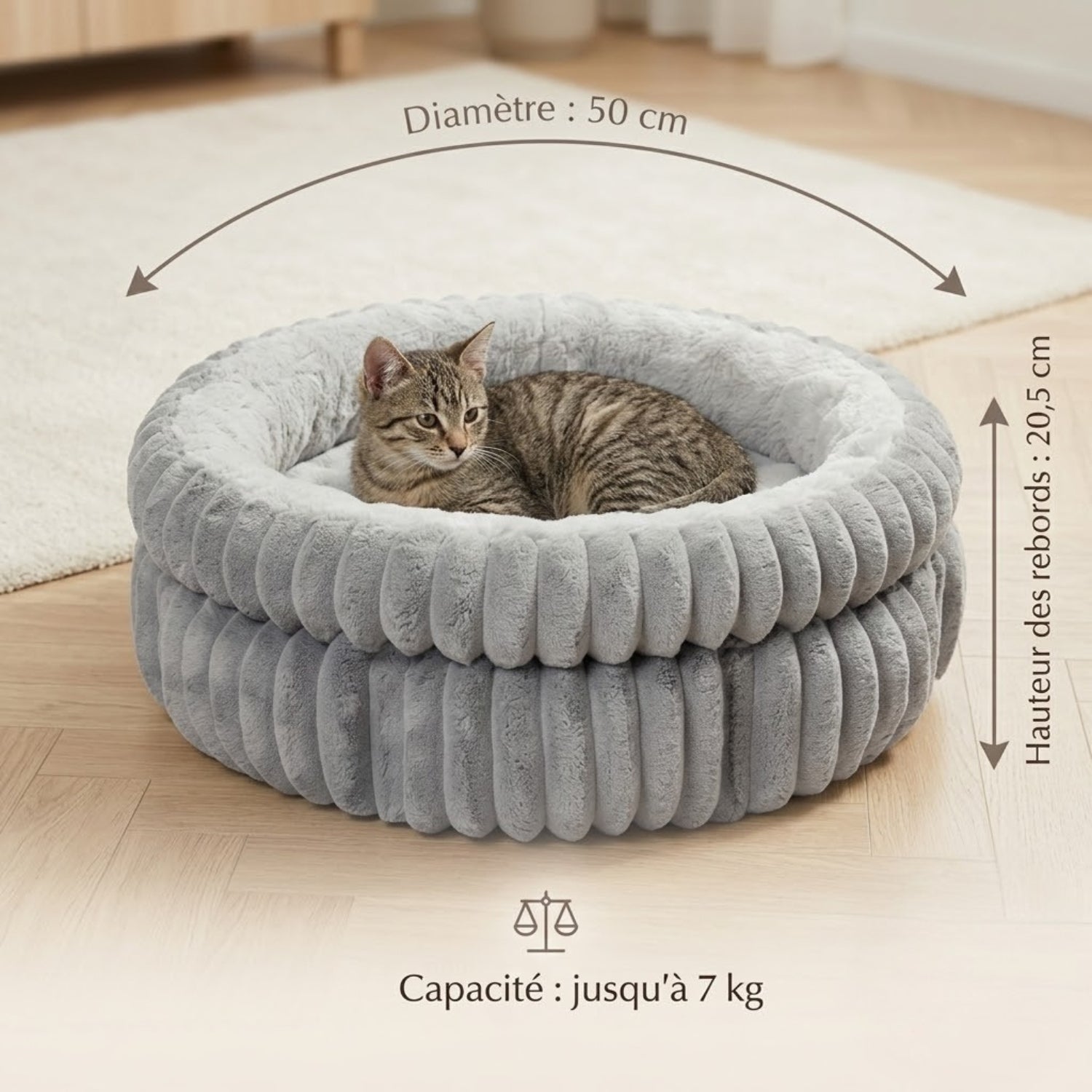 coussin pour chaton gris européen tigré avec dimensions diamètre hauteur et capacité