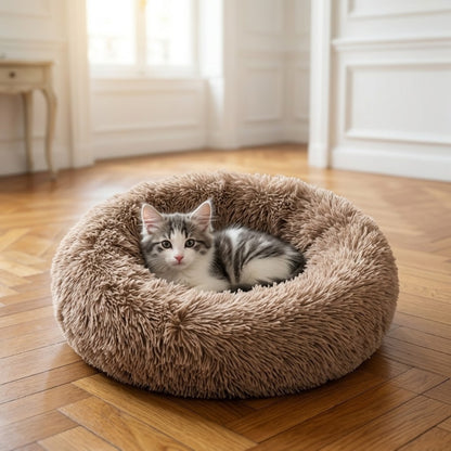 coussin pour chaton marron chaton éveillé parquet appartement