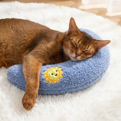 coussin pour chats bleu abyssin endormi profondement dessus