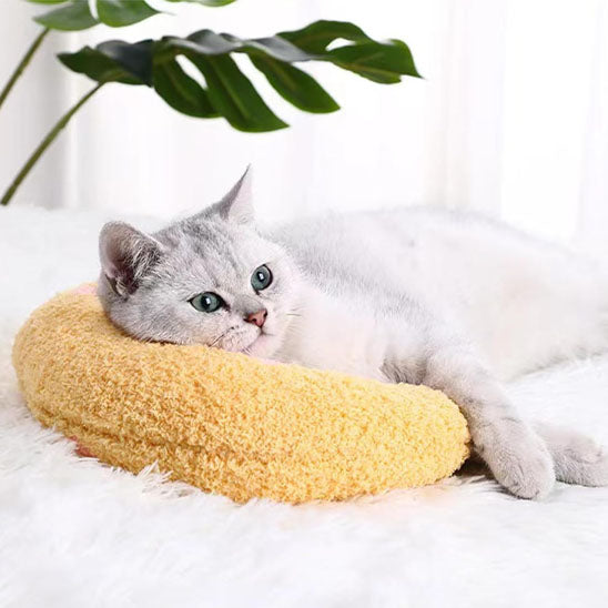 coussin pour chats jaune avec chat blanc relaxant dessus