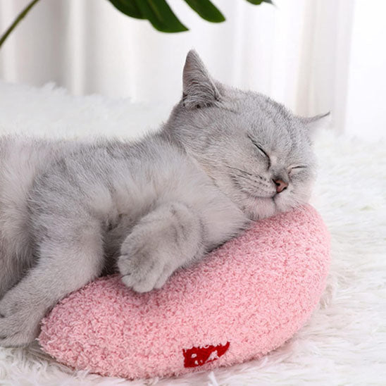 coussin pour chats rose avec chat gris endormi dessus