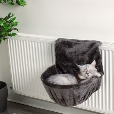 coussin radiateur chat chat endormi profondement dedans