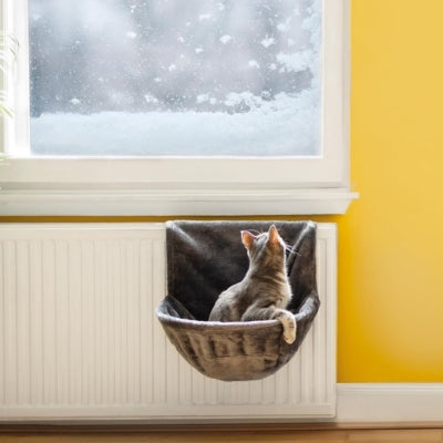 coussin radiateur chat chat observant dessus