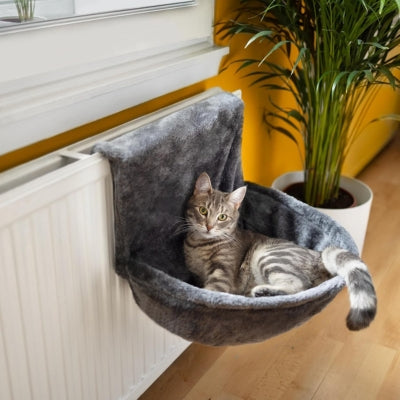 coussin radiateur chat chat relaxant tranquillement dedans