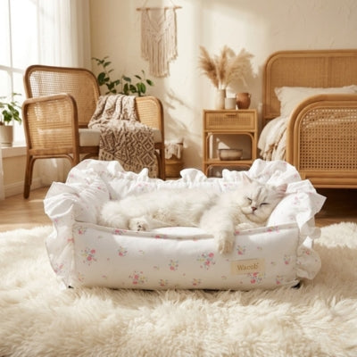 coussins chats fleurs roses persan couché chambre boheme