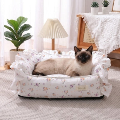 chats fleurs violettes siamois salon