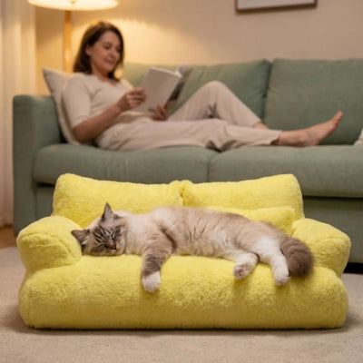 coussins pour chats furrrvana jaune citron birman endormi dessus maîtresse lis