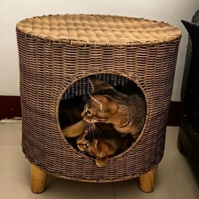 deux bangal détendus dans panier à chat en osier