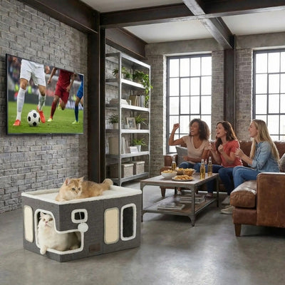 deux chatons detendu dans panier chatons filles regardant match tv