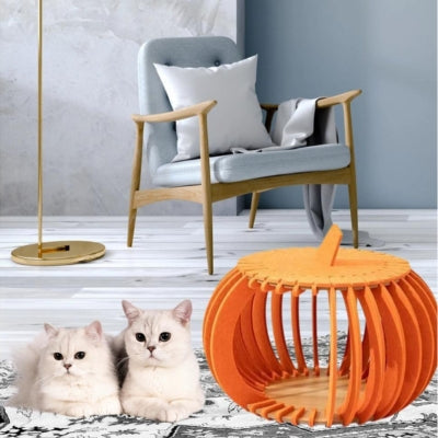 deux chatons detendus à côté cocon pour chat