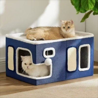 deux chatons en detente dans panier chatons bleu grand format