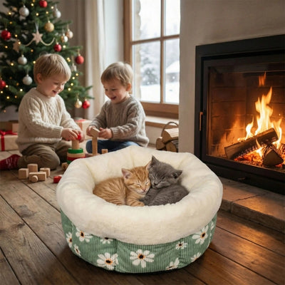 deux chatons enlacés couffin chaton enfants jouant