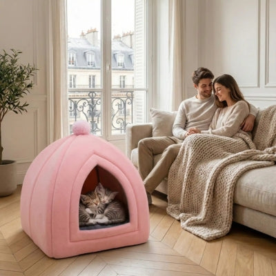 deux chatons enlacés dans maison chaton couple relaxant à côté