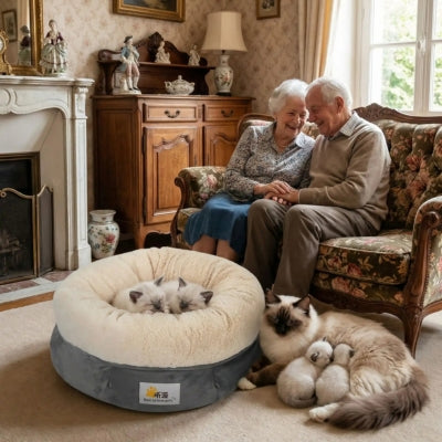 deux chatons lovés dans coussin chaton vieux couple contents